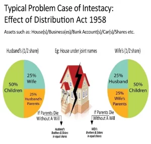 problem of intestancy, effect of distribution act 1958
